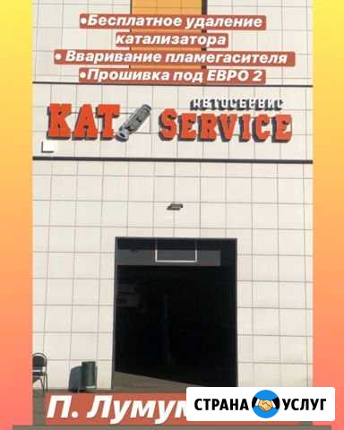 Бесплатное удаление катализатора Казань - изображение 1