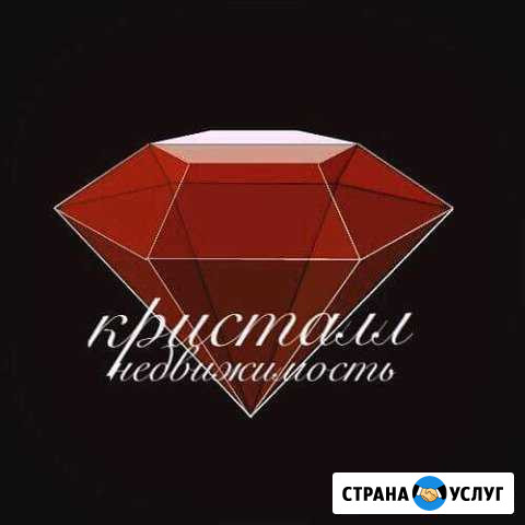 Услуги профессионального риелтора Омск - изображение 1