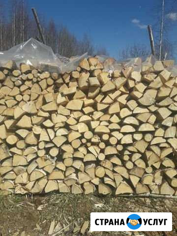 Продам дрова Рыбинск - изображение 1