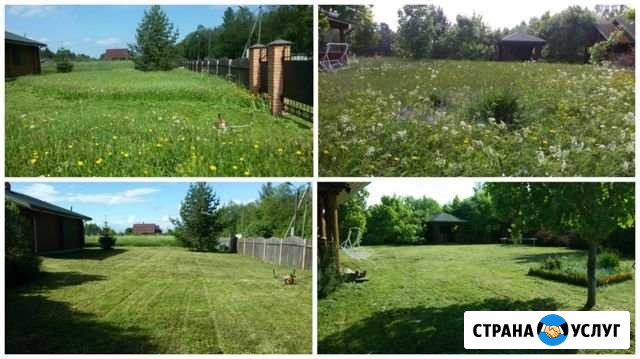 Скос (покос) травы Иваново - изображение 1