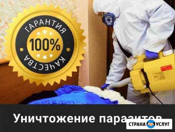 Уничтожение клопов, клещей, тараканов, ос, кротов Ростов-на-Дону