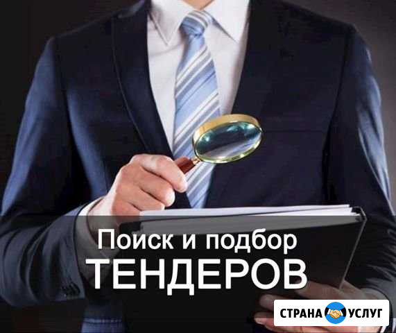 Тендерное сопровождение Барнаул - изображение 1
