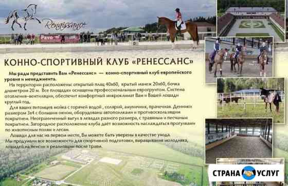 Обучение верховой езде Калуга
