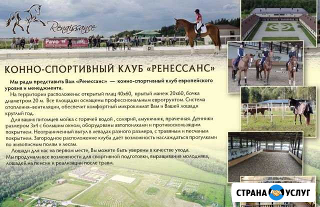 Обучение верховой езде Калуга - изображение 1