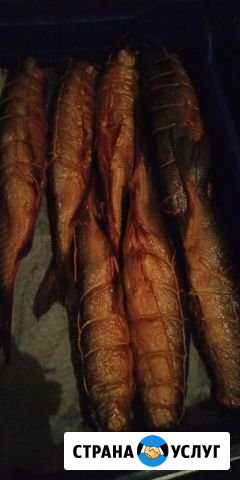 Рыба Москва - изображение 1