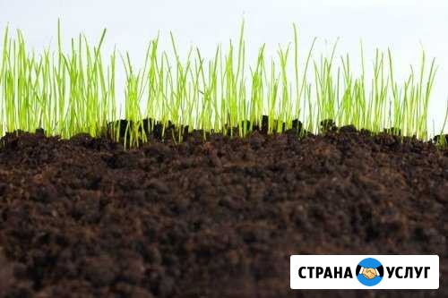 Навоз, перегной, чернозём, песок, опил в мешках, в Воткинск - изображение 1
