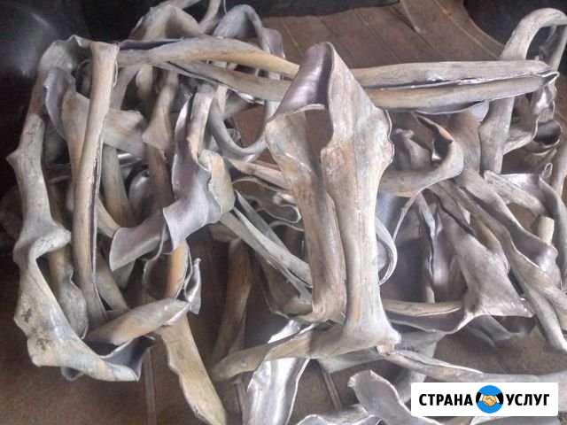 Приму свинец Калининград - изображение 1