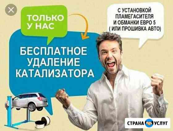 Бесплатное удаление катализатора Орёл