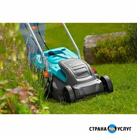 Покос газона Санкт-Петербург - изображение 1