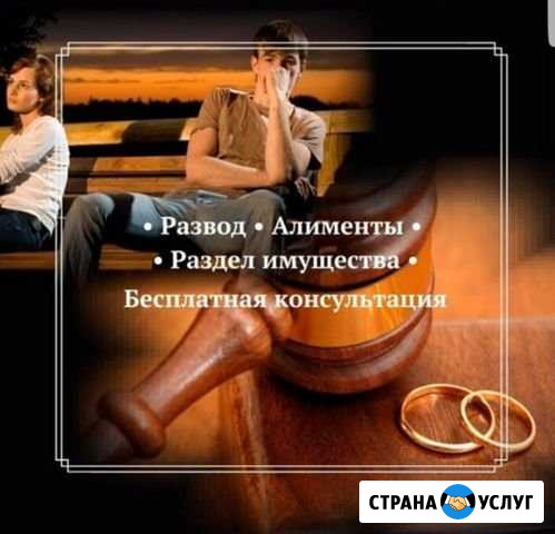 Адвокат по уголовным и гражданским делам Волгоград - изображение 1