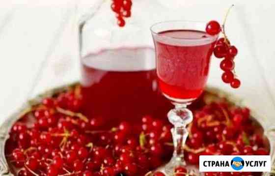 Красная смородина Нижнекамск