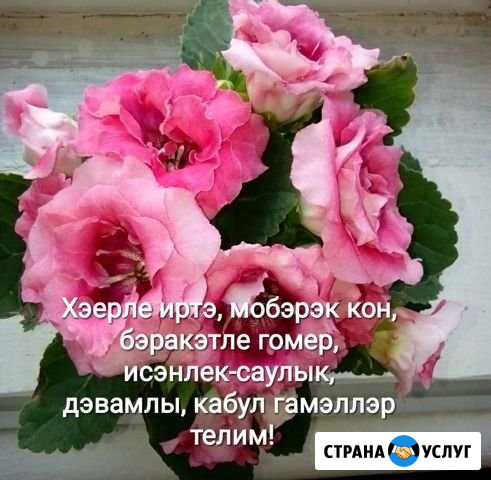 Перевод Казань - изображение 1