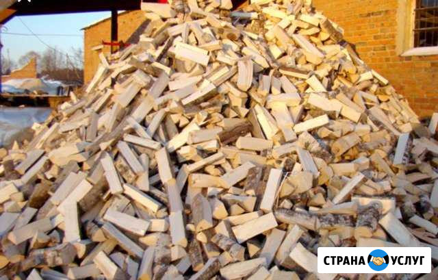 Дрова Тверь - изображение 1