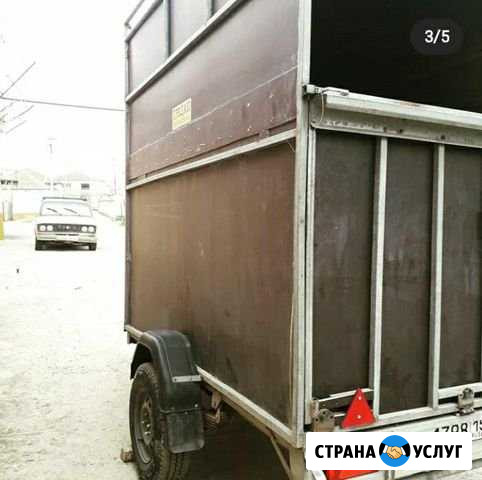 Перевозка лошадей Ачхой-Мартан - изображение 1