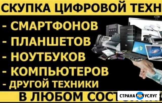 Утилизация Кемерово - изображение 1