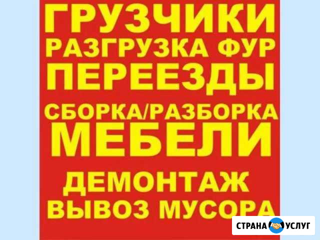 Грузчики/Сборка мебели/Переезды без по этажностей Саратов - изображение 1