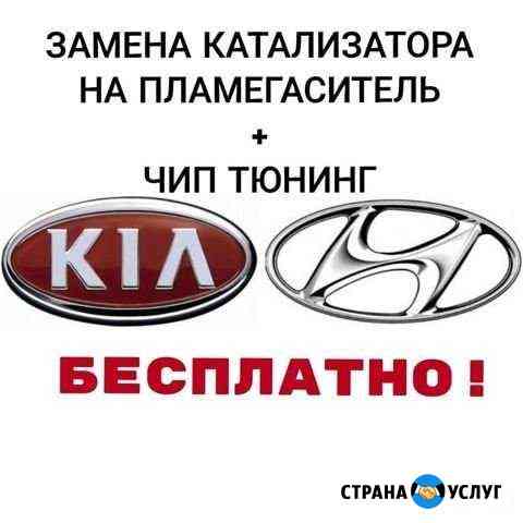 Бесплатное удаление катализаторов прошивка е2 Челябинск