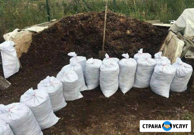 Растения Свободы - изображение 1