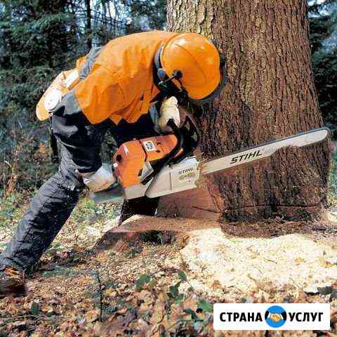 Расчистка участка,спил,уборка,копка Самара