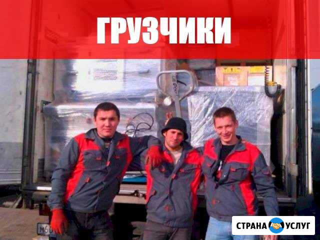 Грузчики Новосибирск - изображение 1