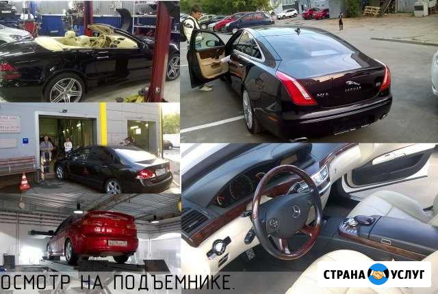 Помощь при покупке автомобиля Тамбов - изображение 1