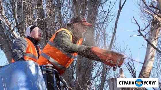 Спил деревьев и кустарника с утилизацией Великий Новгород