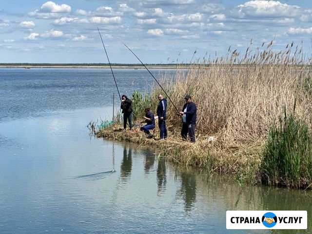 Рыбалка и охота (База Приволье) Привольная - изображение 1
