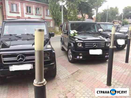 Аренда авто на Свадьбу Саратов