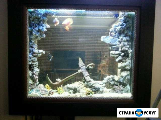 Аквариумист, оформитель, аквадизайнер Реутов - изображение 1