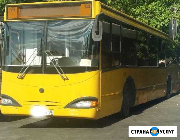 Аренда и заказ автобуса Москва - изображение 1