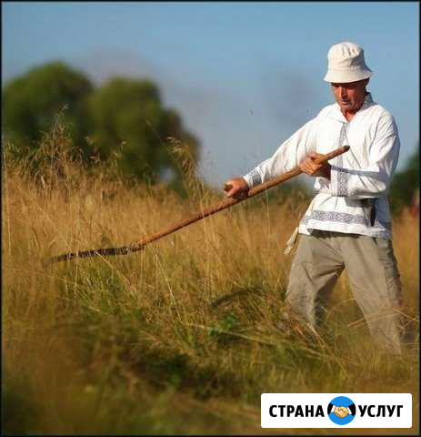 Покос травы Вологда - изображение 1