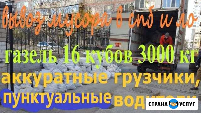 Вывоз мусора Синявино - изображение 1