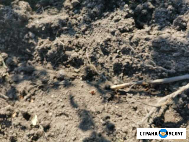 Приму грунт Кингисепп - изображение 1