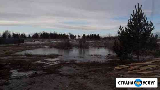 Приму грунт Сосновоборск Сосновоборск