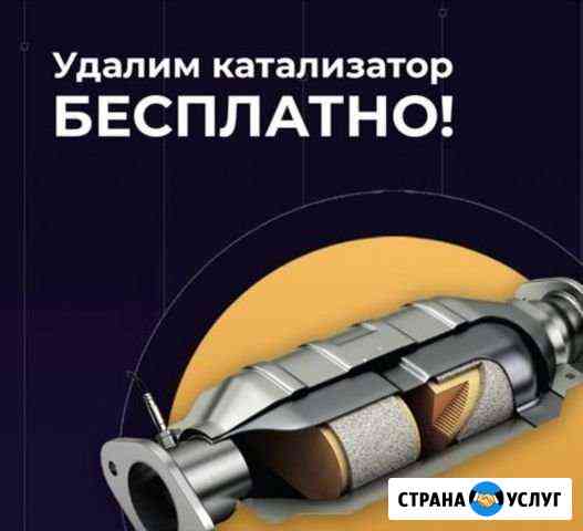 Удаление катализатора / Удалить катализатор Волгоград
