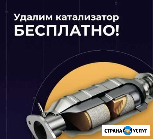 Удаление катализатора / Удалить катализатор Волгоград - изображение 1