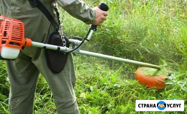 Покос травы культивирование вспашка земли мотоблок Ерзовка - изображение 1