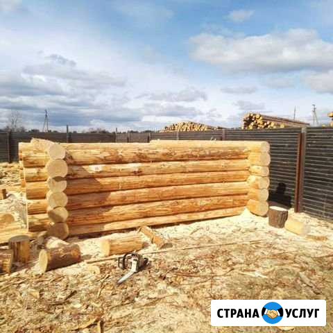 Срубы домов бань из бревна Череповец - изображение 1