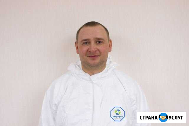 Обработка клопов тараканов мух клещей Йошкар-Ола Йошкар-Ола - изображение 1