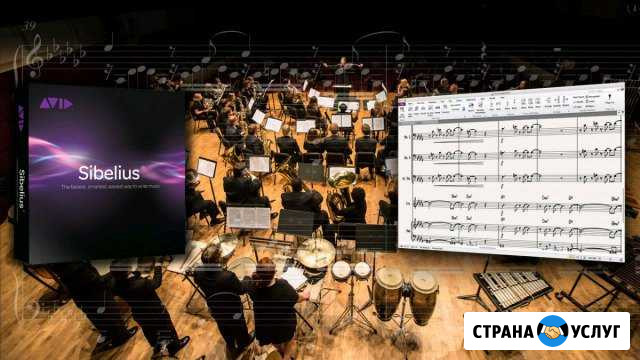 Компьютерный набор нотного текста Ростов-на-Дону - изображение 1