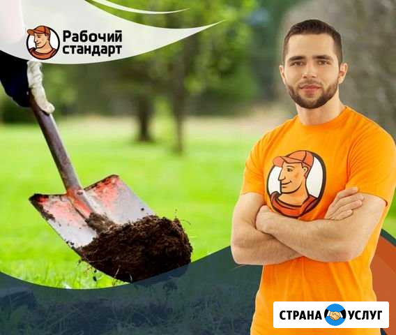 Разнорабочие Пушкино - изображение 1