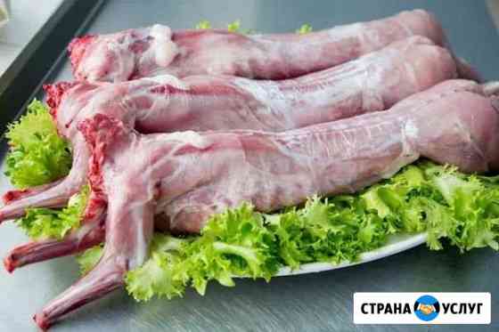 Мясо кролика Белгород