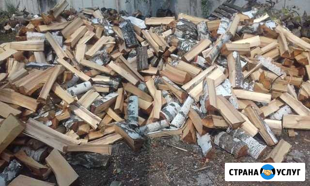 Дрова Толбазы - изображение 1
