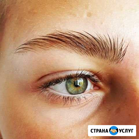 Бровист профессионал Ессентуки - изображение 1