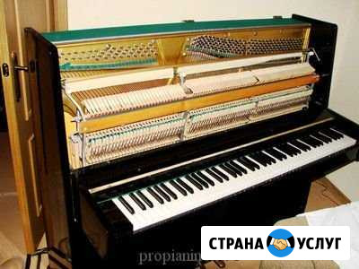 Настройка фортепиано - рояля Новороссийск - изображение 1