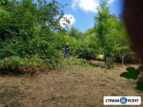 Расчистка участков, уборка, спил деревьев, вывоз м Сочи