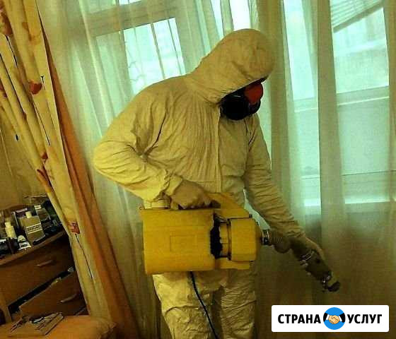 Уничтожение тараканов клопов блох, гарантия Киров - изображение 1