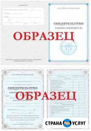 Обучение в автошколе Воронеж