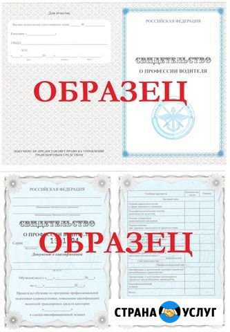 Обучение в автошколе Воронеж - изображение 1