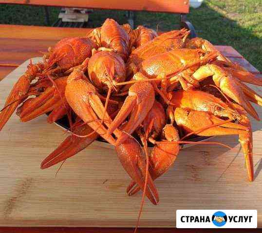 Раки донские и мясо рапанов доставка Севастополь